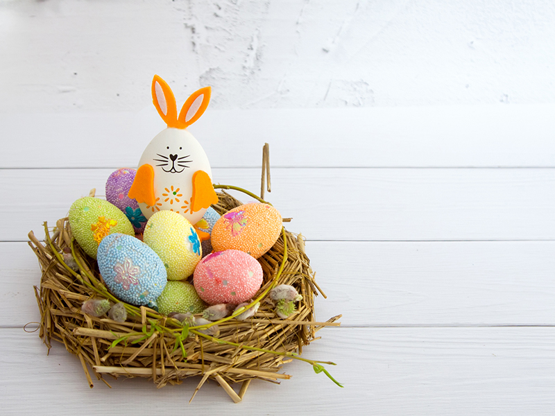 colorful eggs