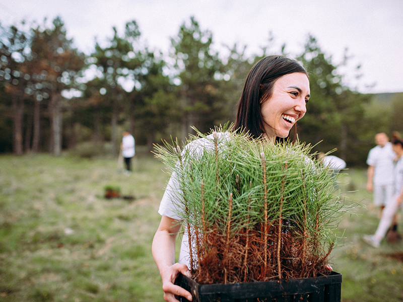 woman tree planting