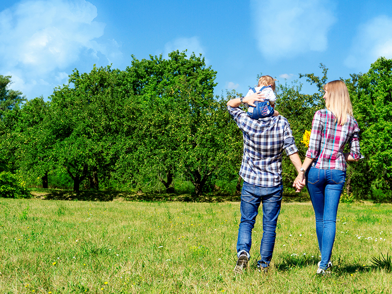 family nature picnic