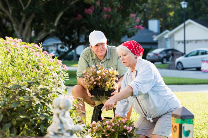 Landscaping for Maximum Curb Appeal